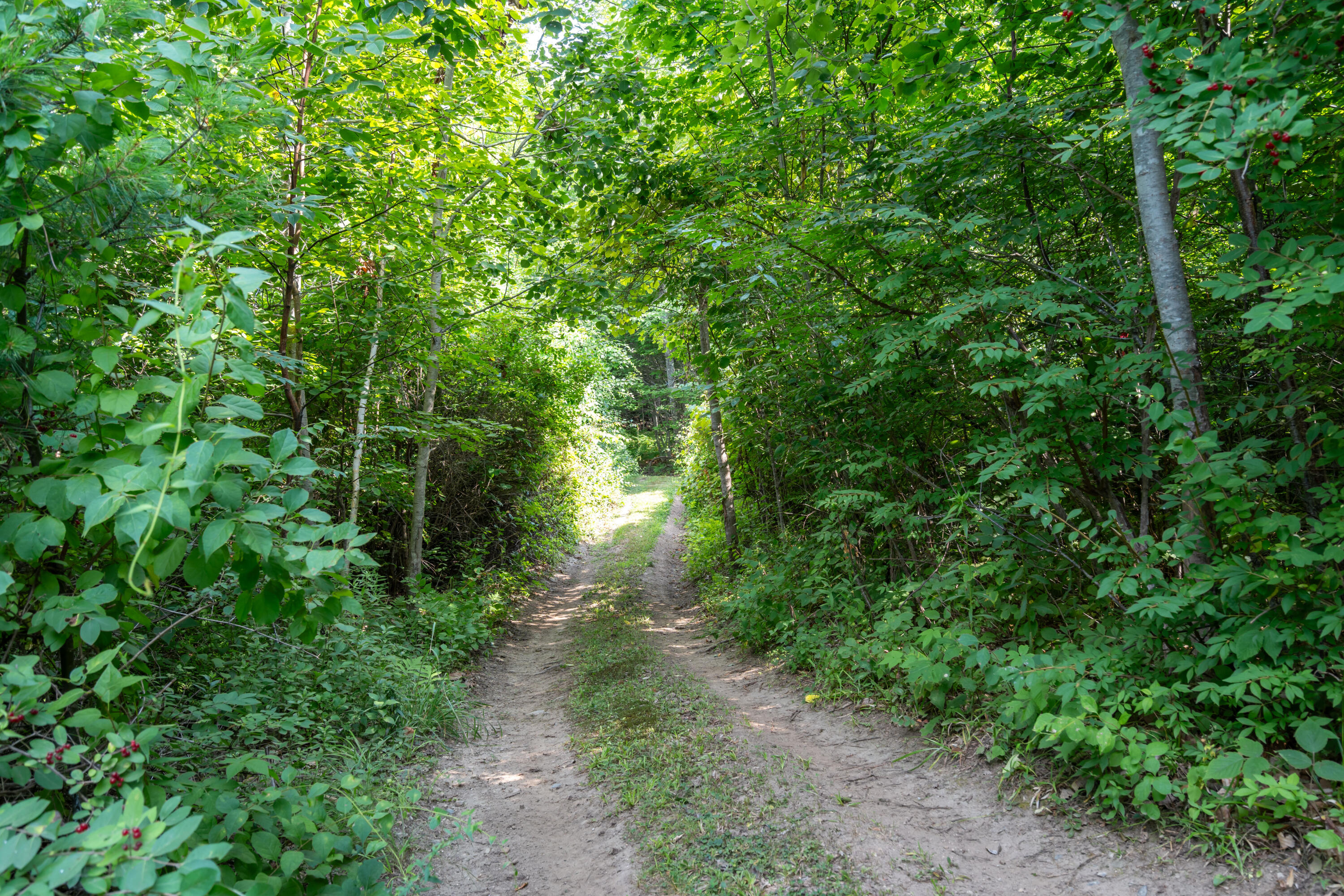 148 Lake House Road