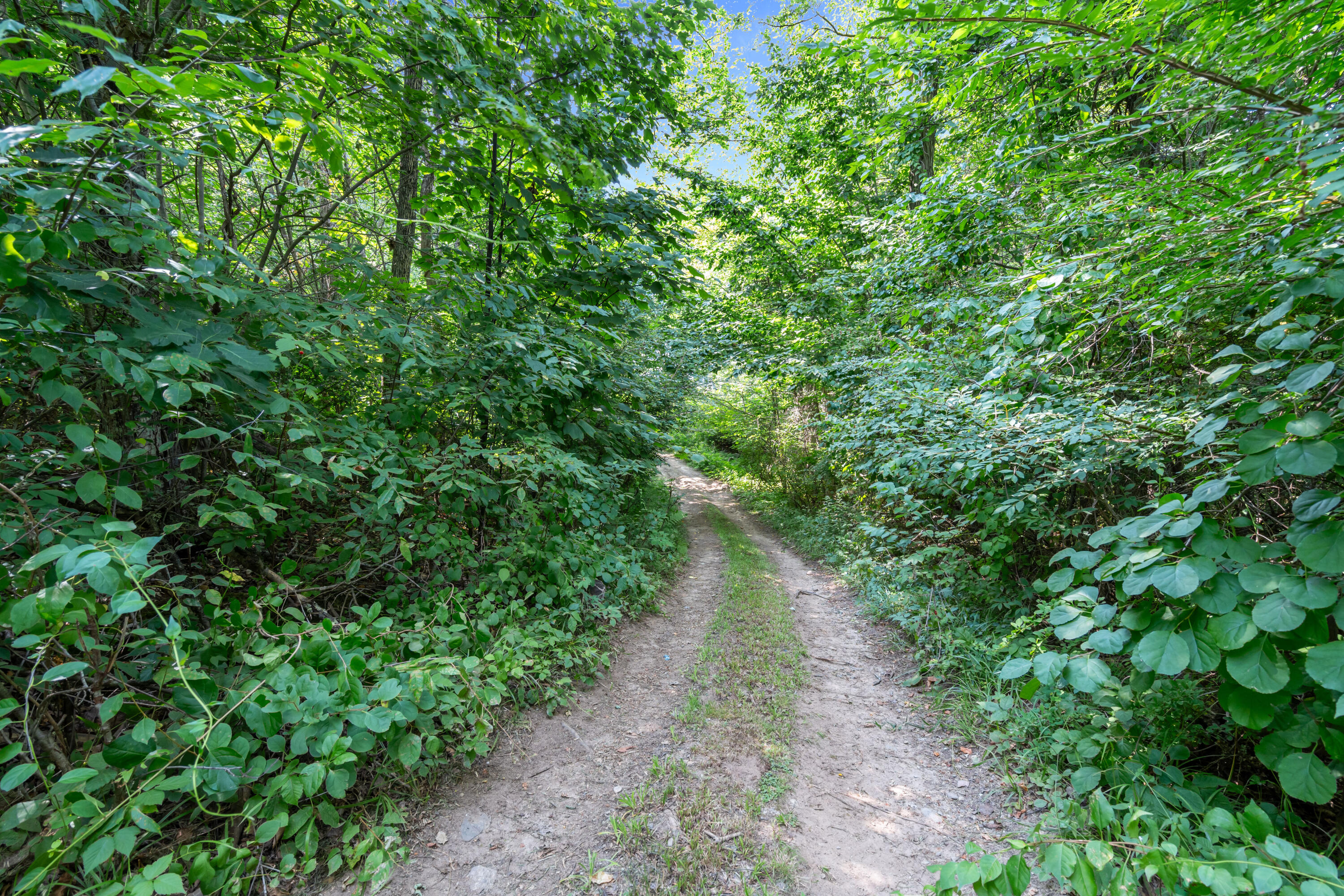148 Lake House Road