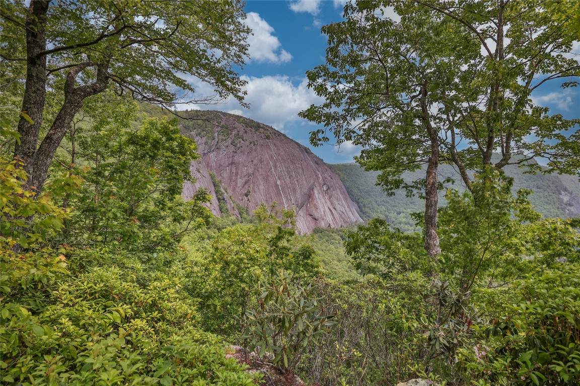 31 Flatwood Branch Trail