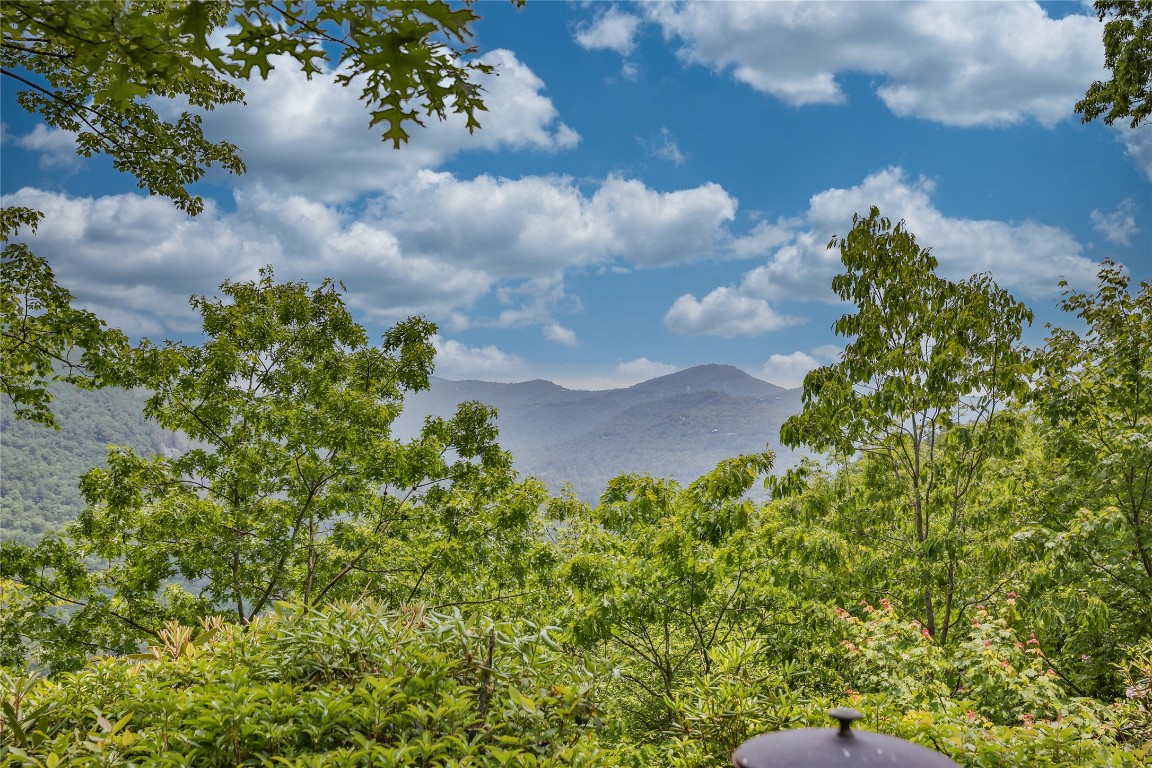 31 Flatwood Branch Trail
