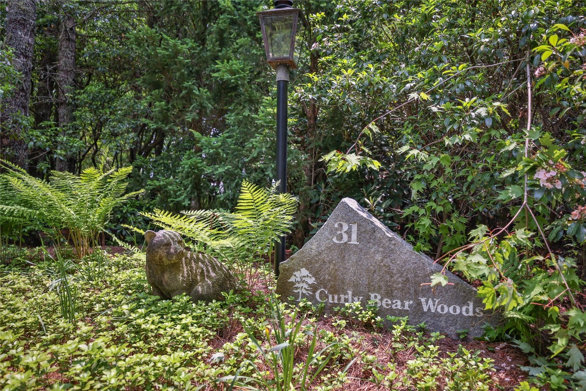 31 Flatwood Branch Trail