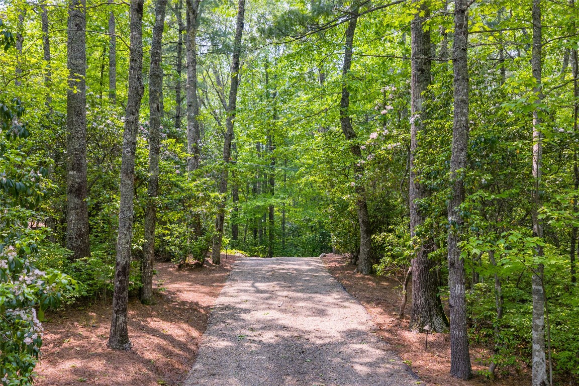 31 Flatwood Branch Trail