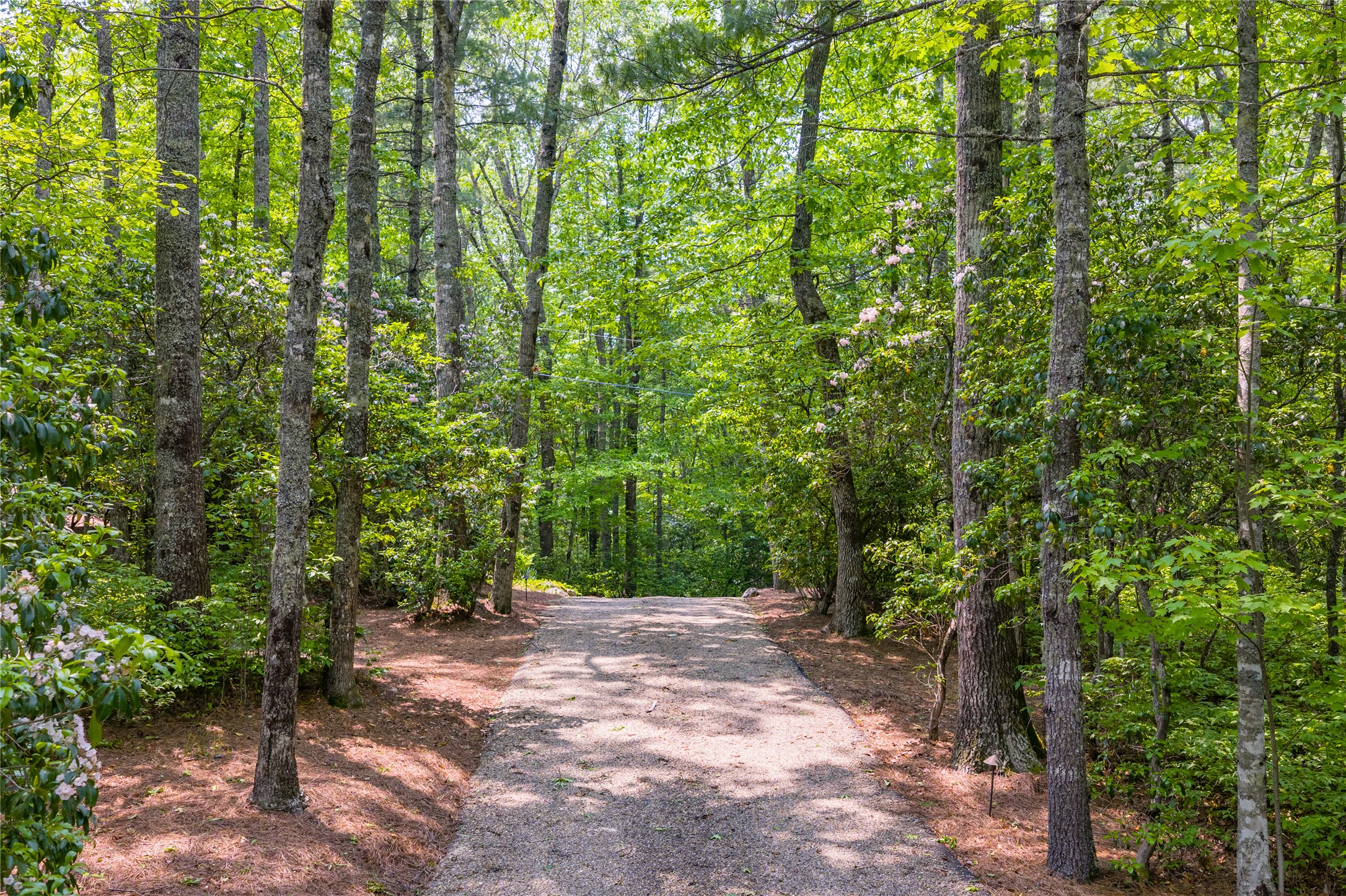 31 Flatwood Branch Trail