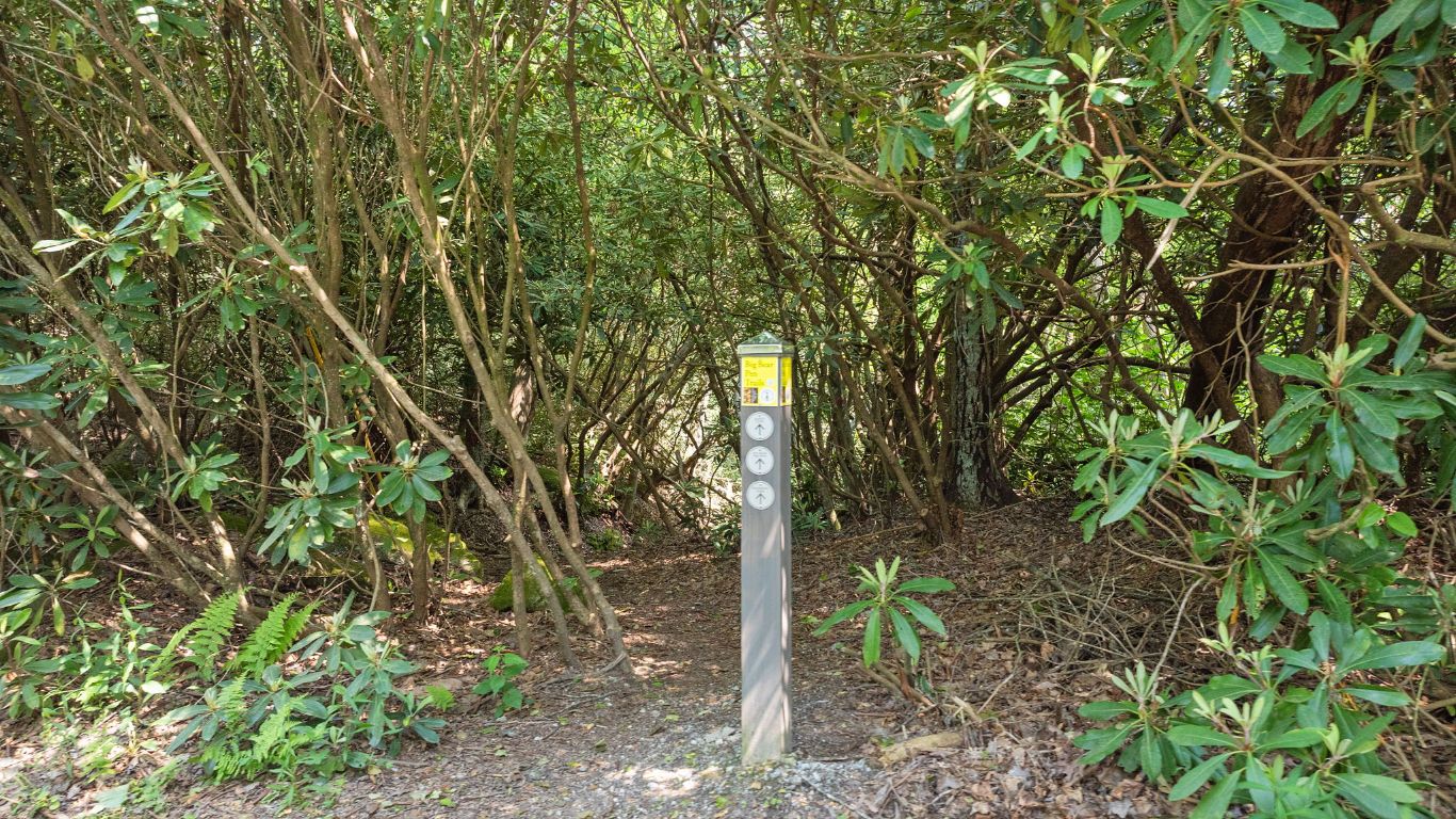 30/31 Sherwood Forest Rd Road