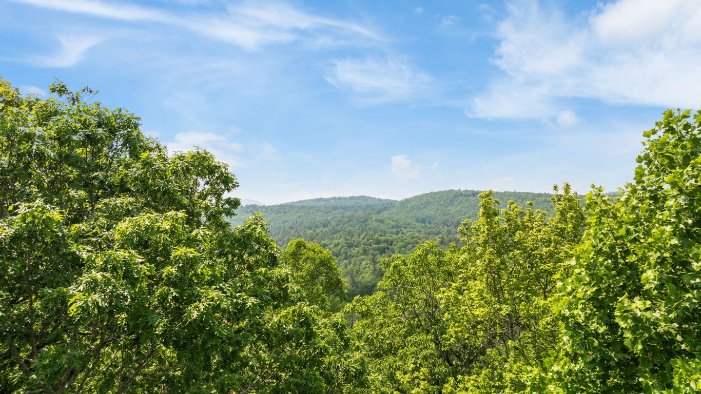 30/31 Sherwood Forest Rd Road