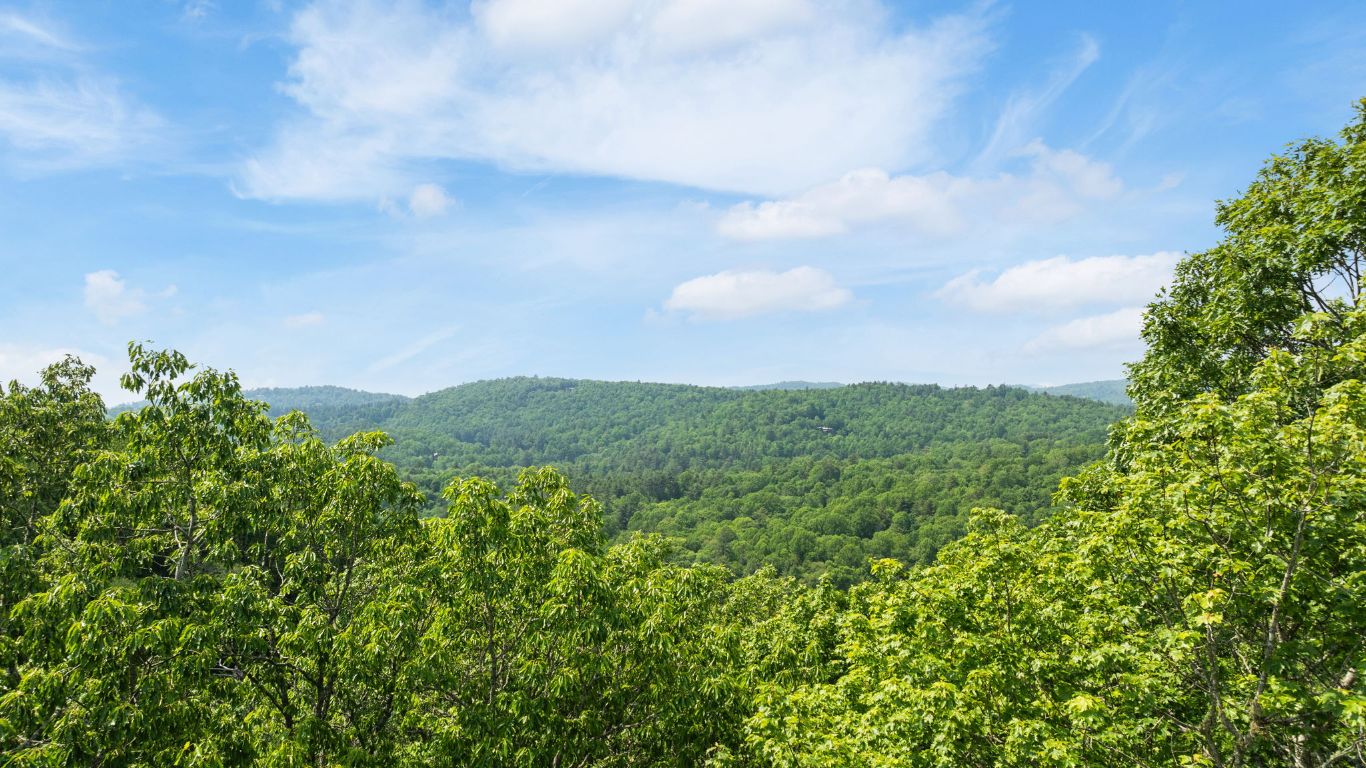 30/31 Sherwood Forest Rd Road