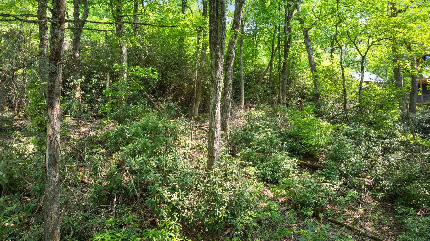 30/31 Sherwood Forest Rd Road