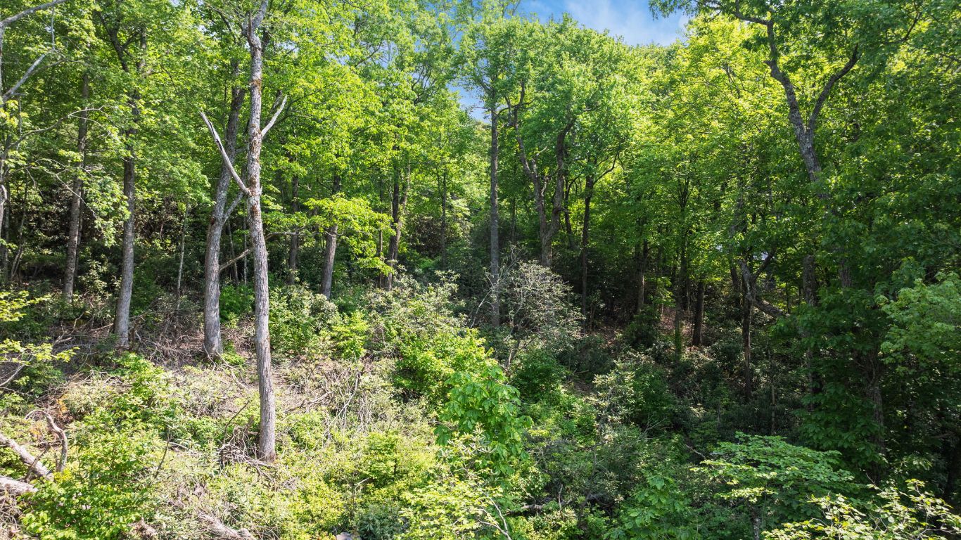 30/31 Sherwood Forest Rd Road