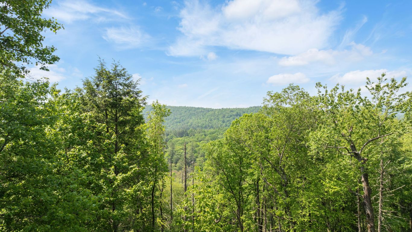 30/31 Sherwood Forest Rd Road