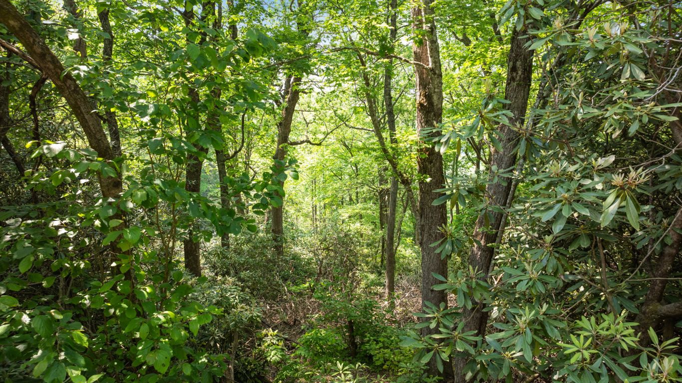 30/31 Sherwood Forest Rd Road