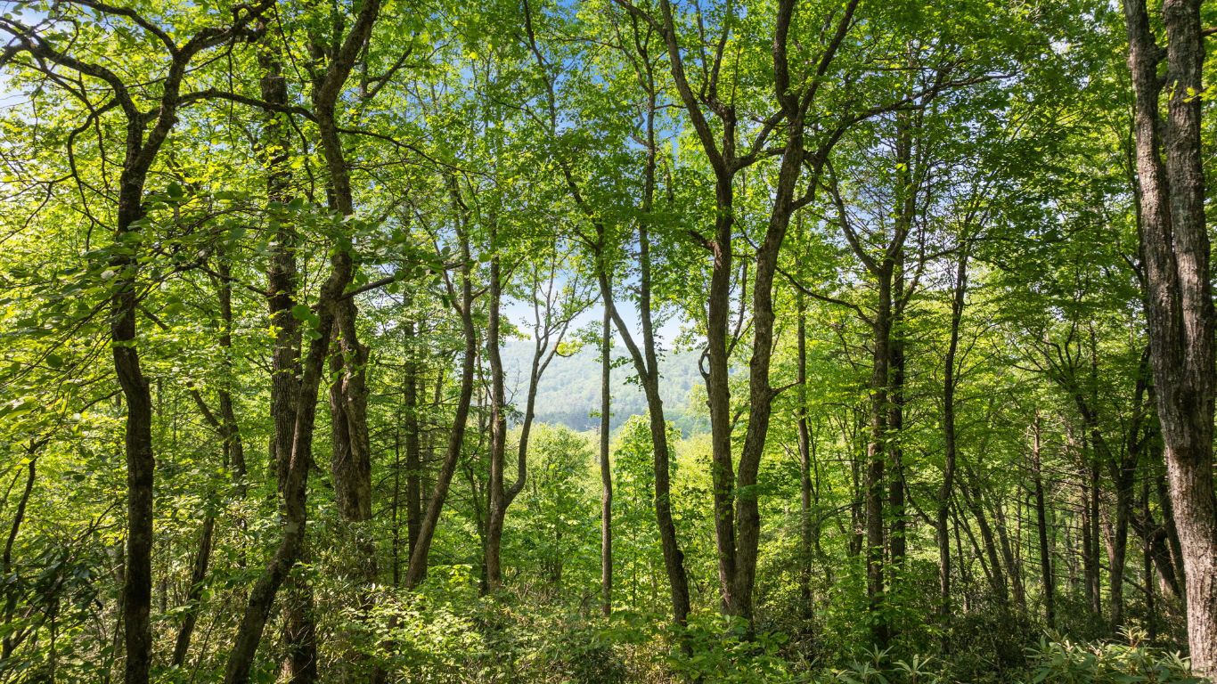 30/31 Sherwood Forest Rd Road