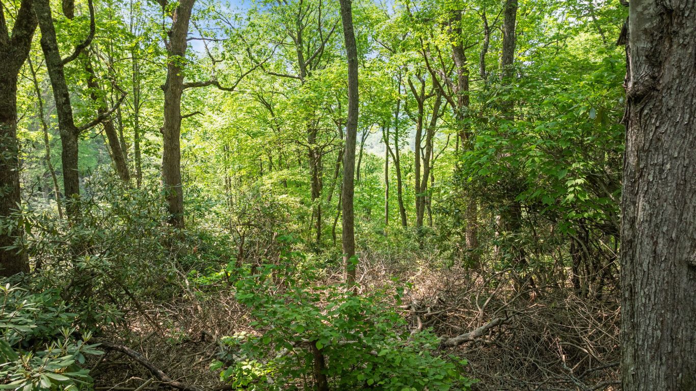 30/31 Sherwood Forest Rd Road