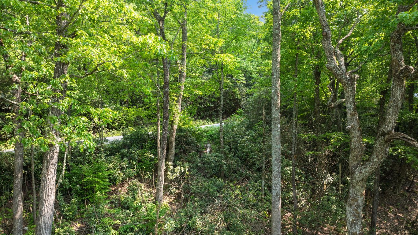 30/31 Sherwood Forest Rd Road