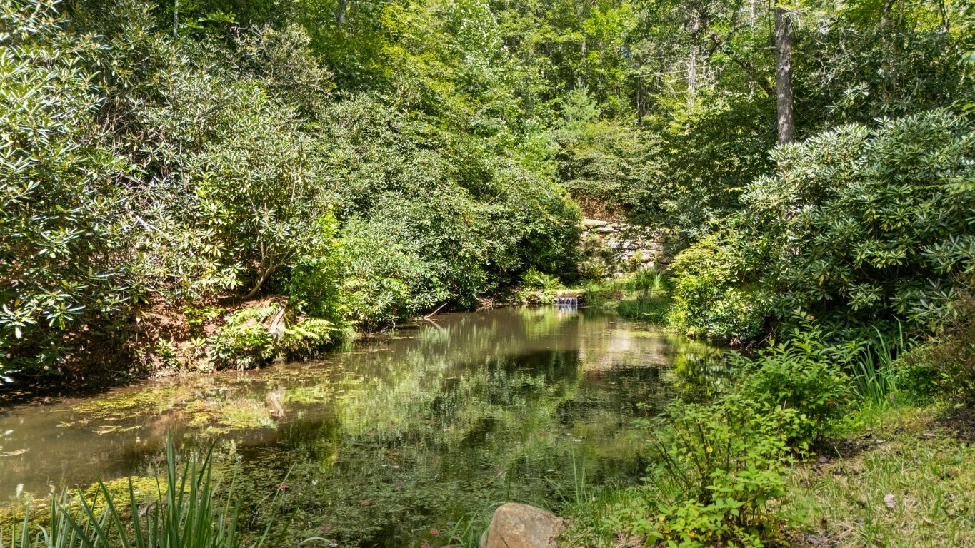 332 Streamside Drive