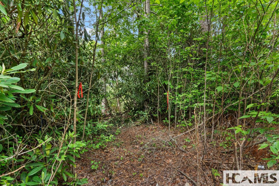 LT 29/36 Long Bridge N