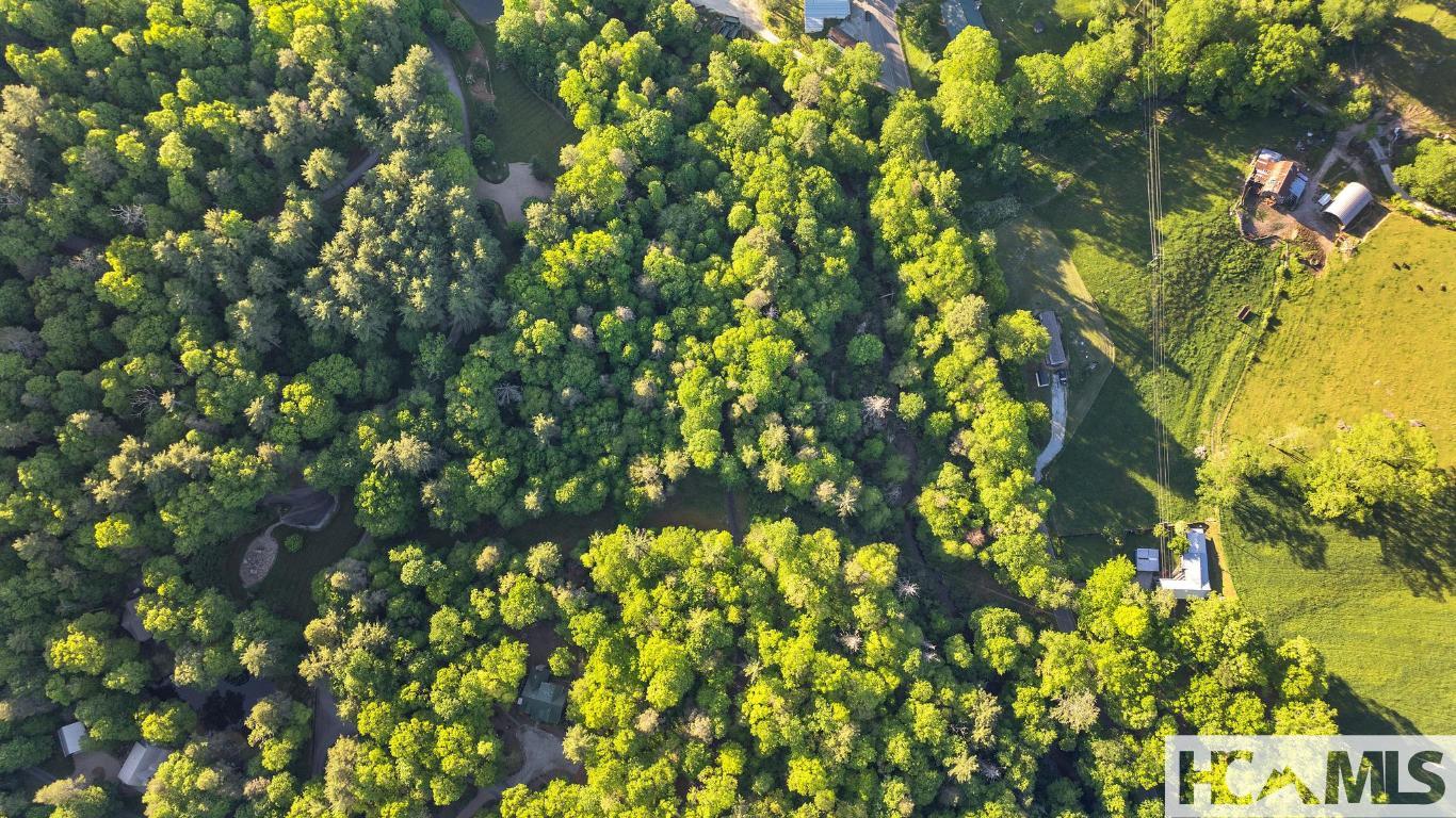 LT 29/36 Long Bridge N