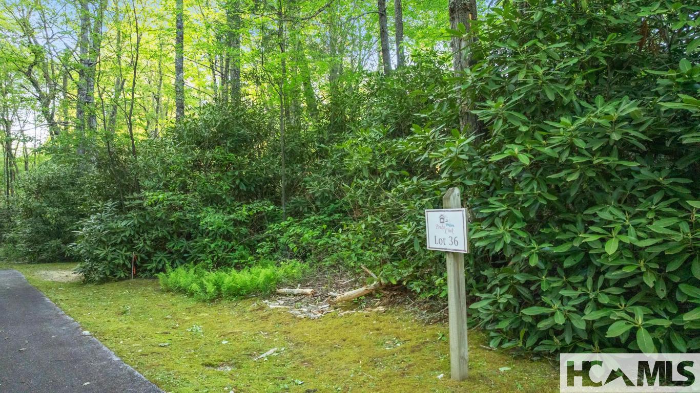 LT 29/36 Long Bridge N