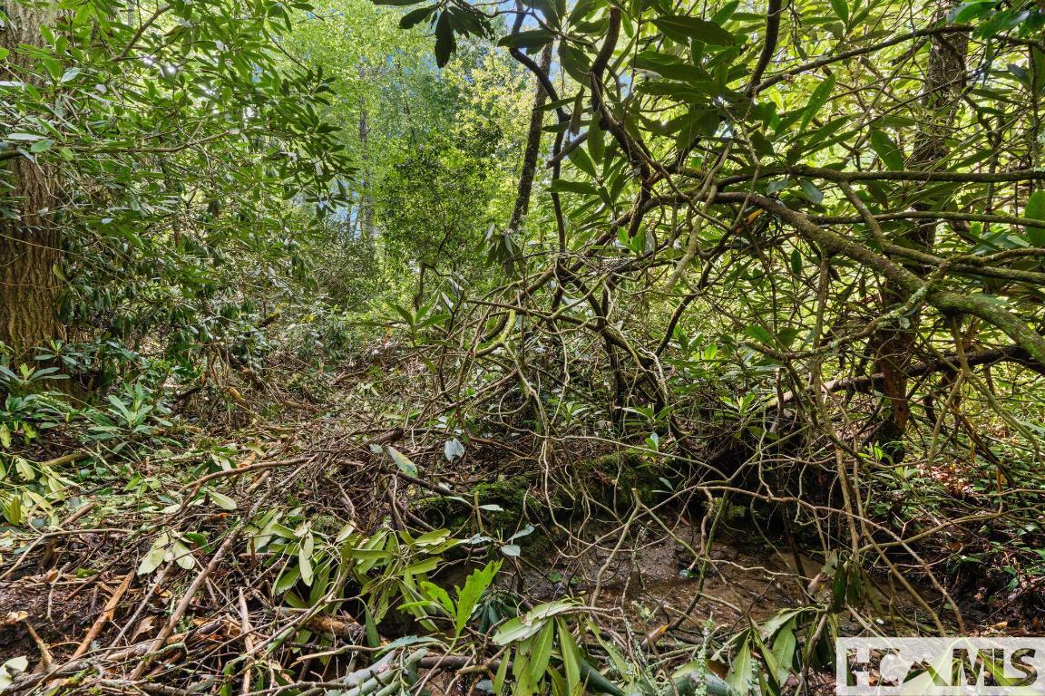 LT 29/36 Long Bridge N