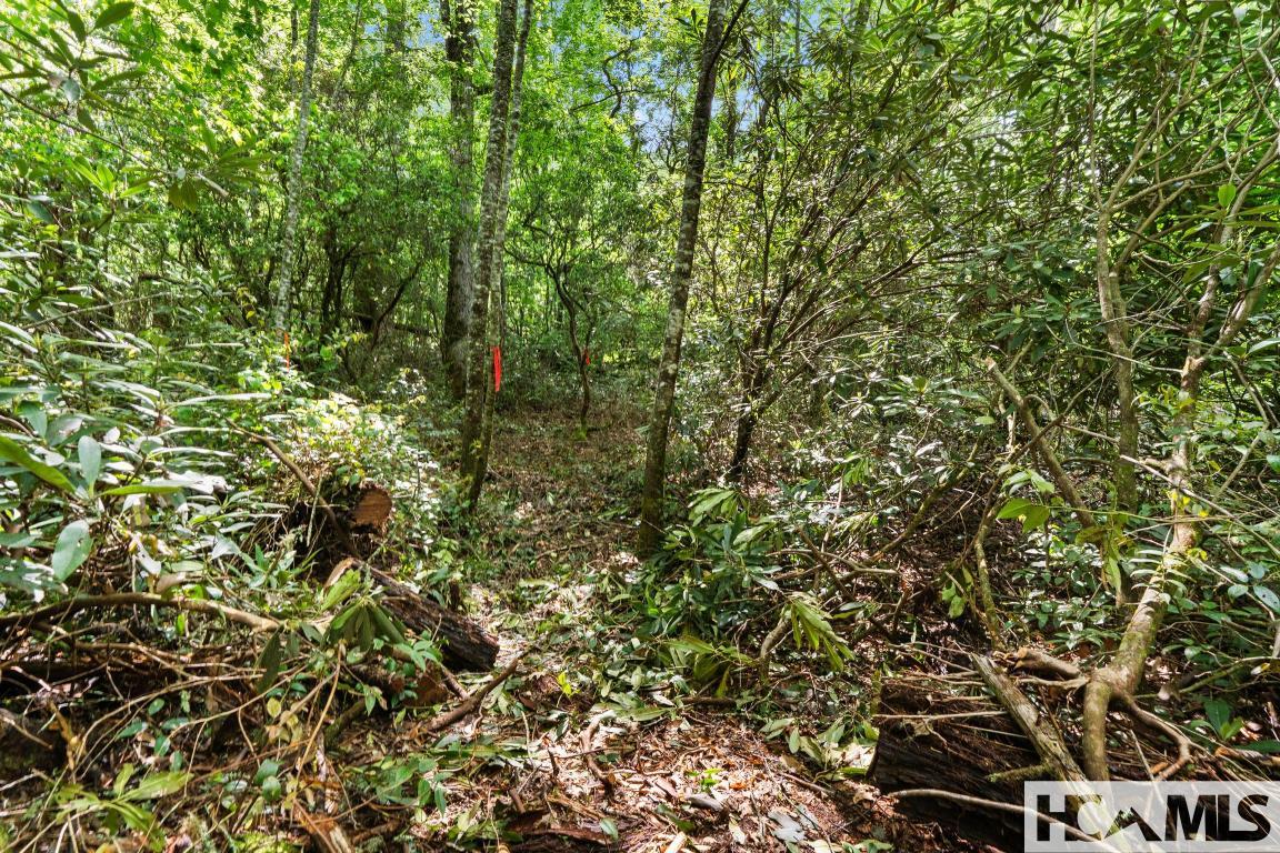 LT 29/36 Long Bridge N