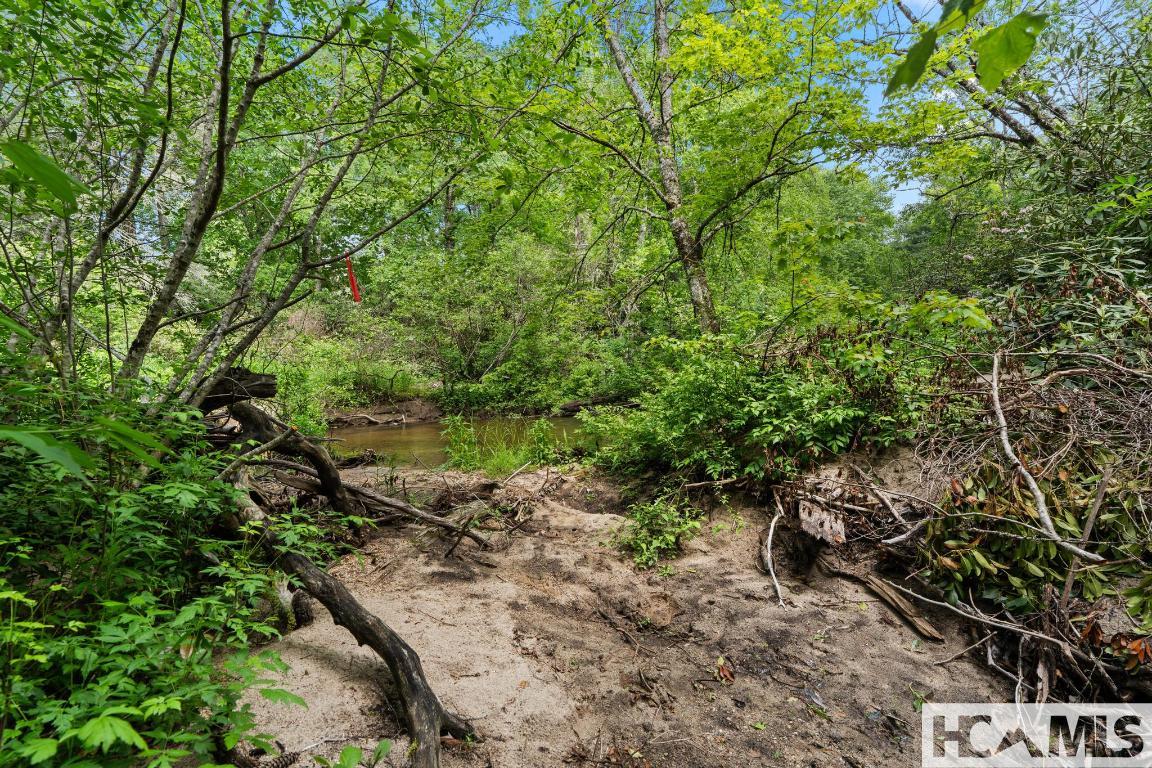 LT 29/36 Long Bridge N