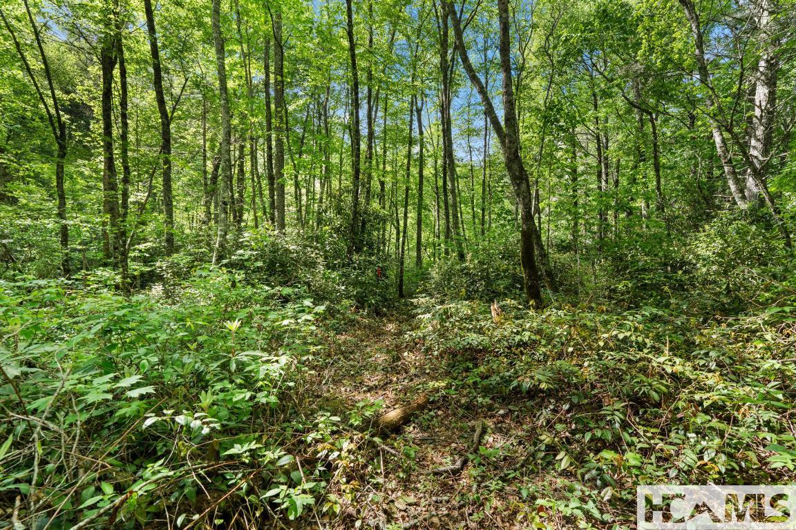 LT 29/36 Long Bridge N