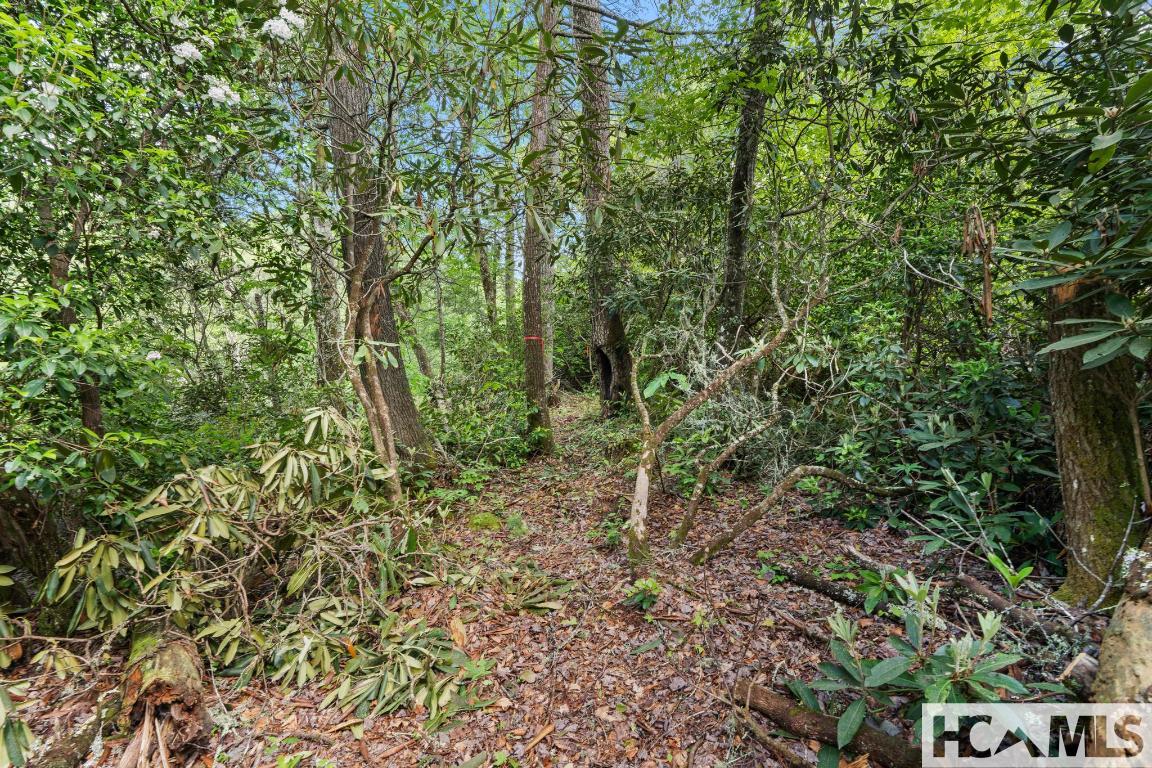 LT 29/36 Long Bridge N