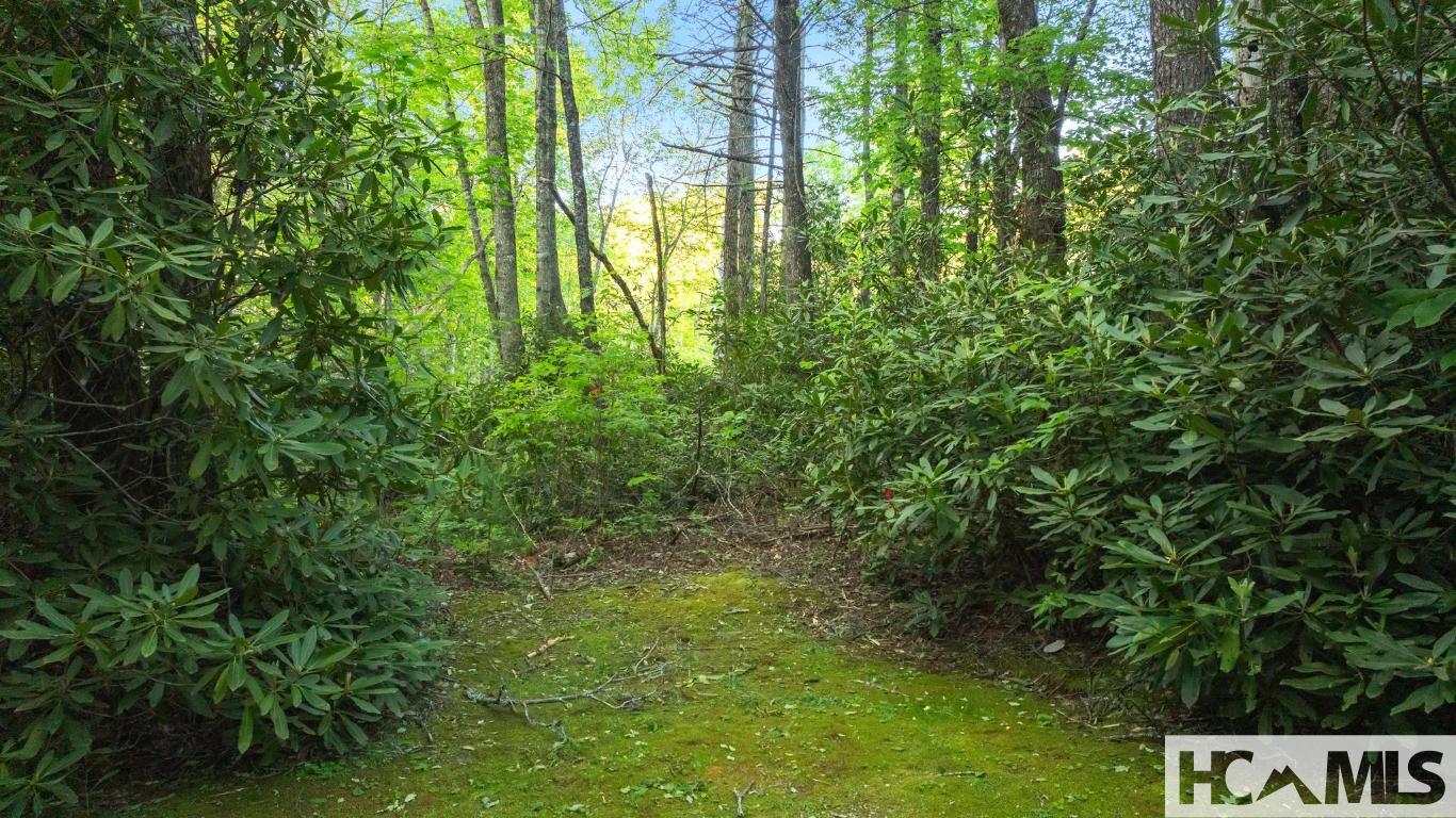 LT 29/36 Long Bridge N