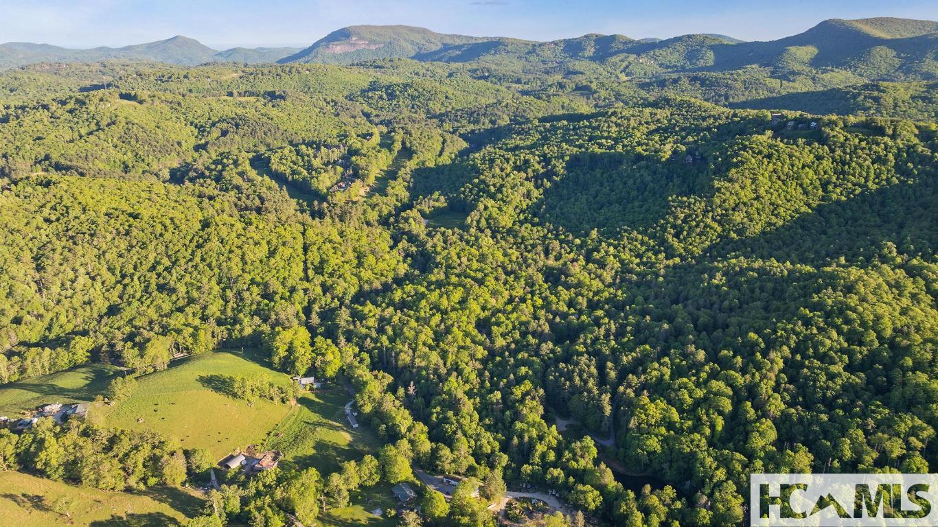 LT 29/36 Long Bridge N