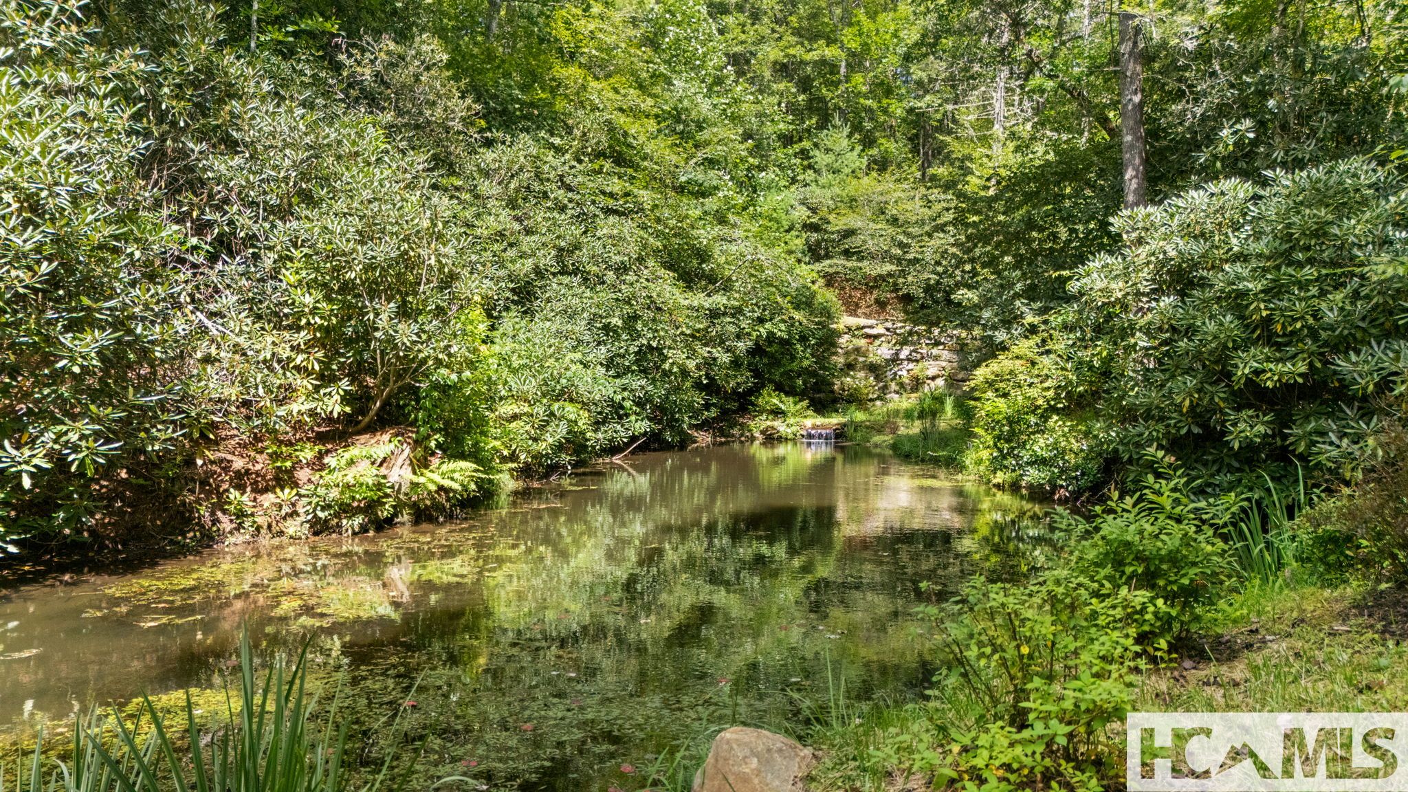 332 Streamside Drive