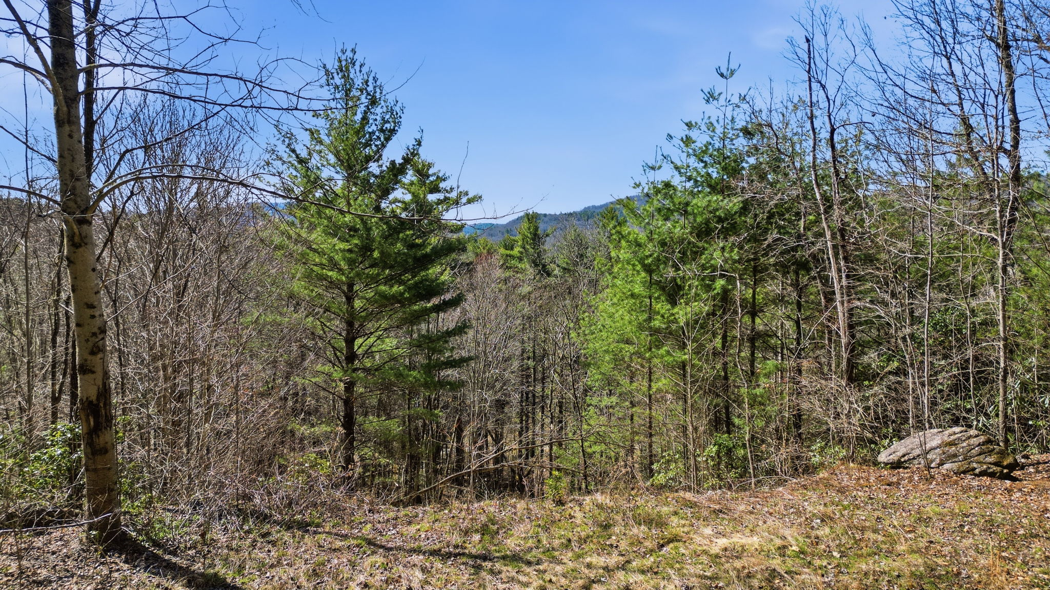 Lot 10 Cotswold Way
