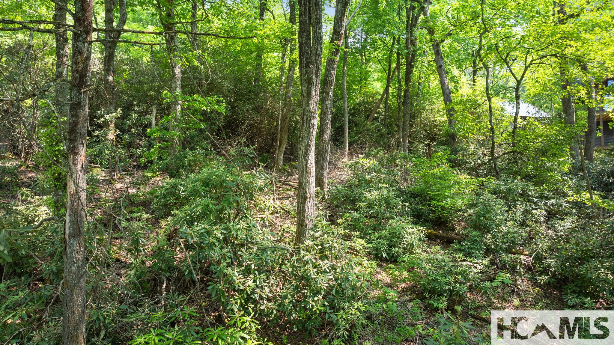 30/31 Sherwood Forest Road