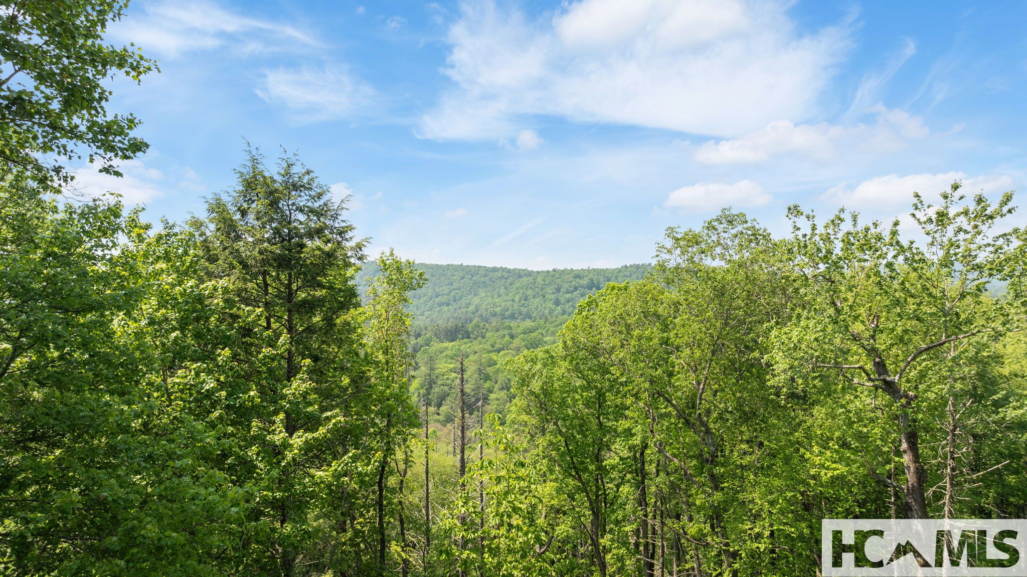 30/31 Sherwood Forest Road