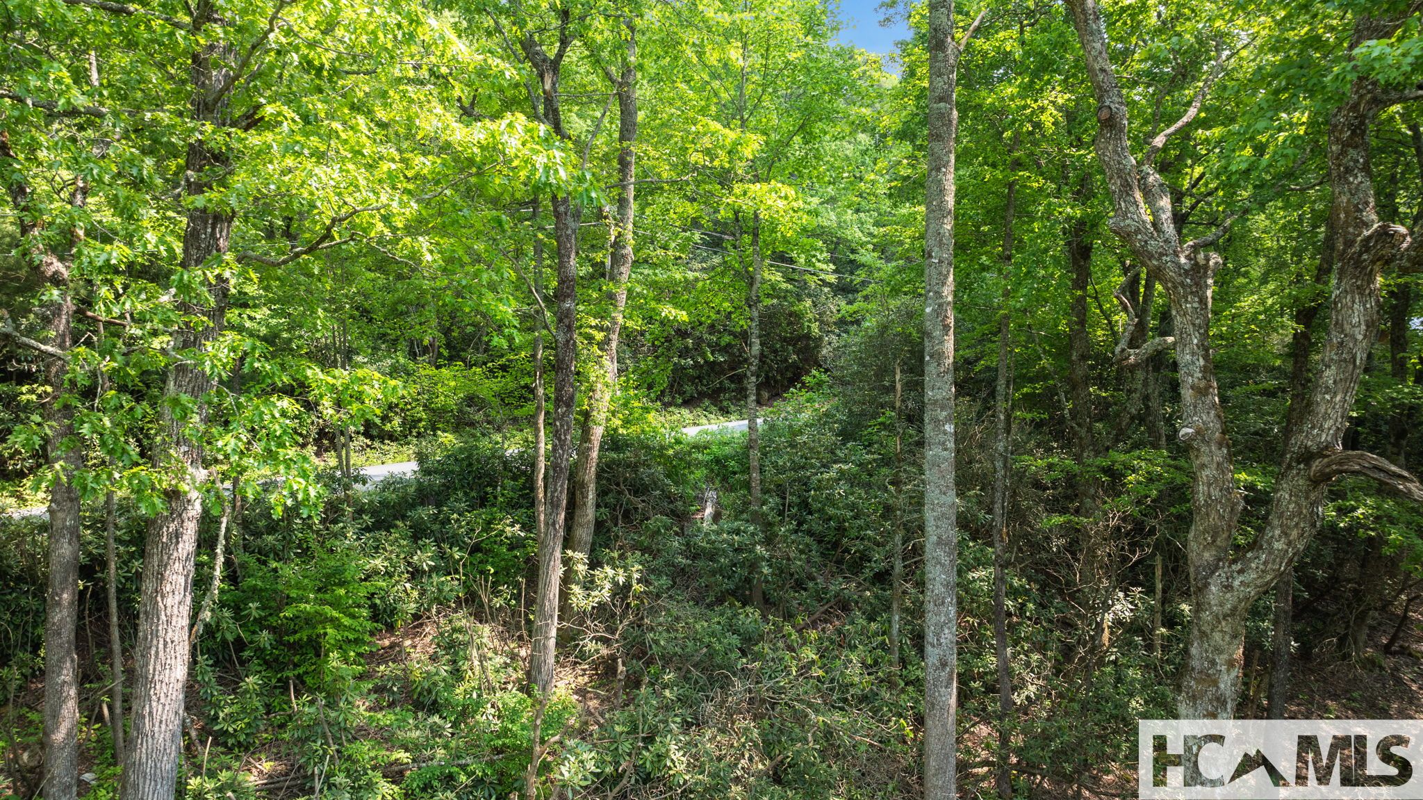 30/31 Sherwood Forest Road