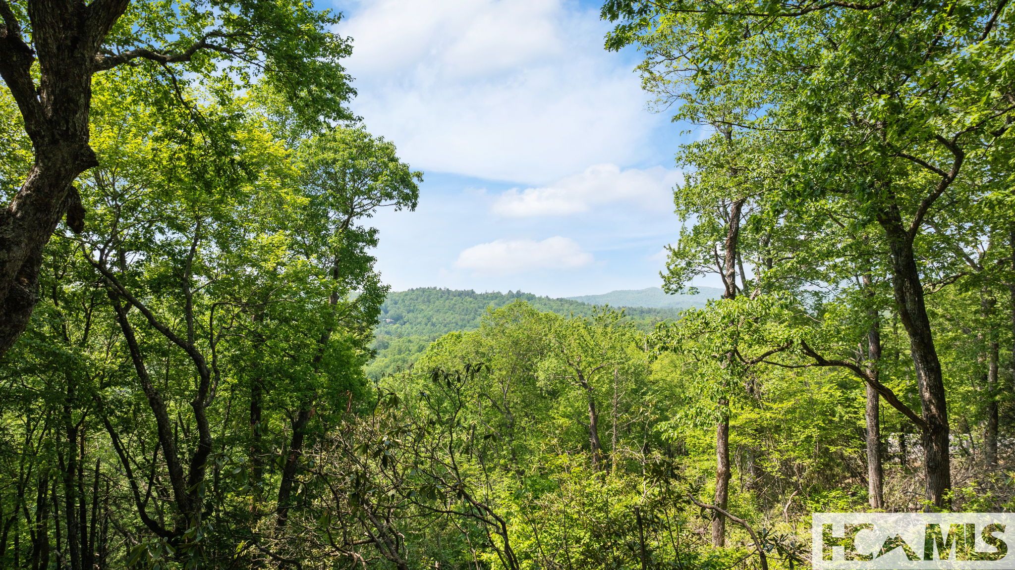 30/31 Sherwood Forest Road
