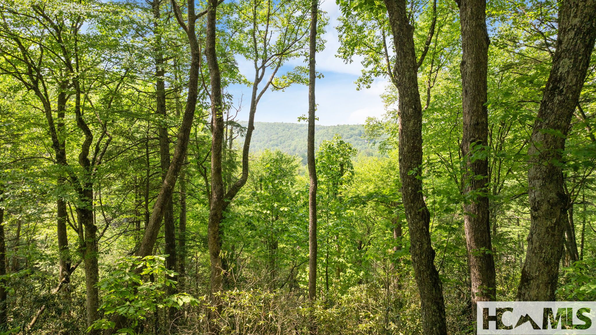 30/31 Sherwood Forest Road