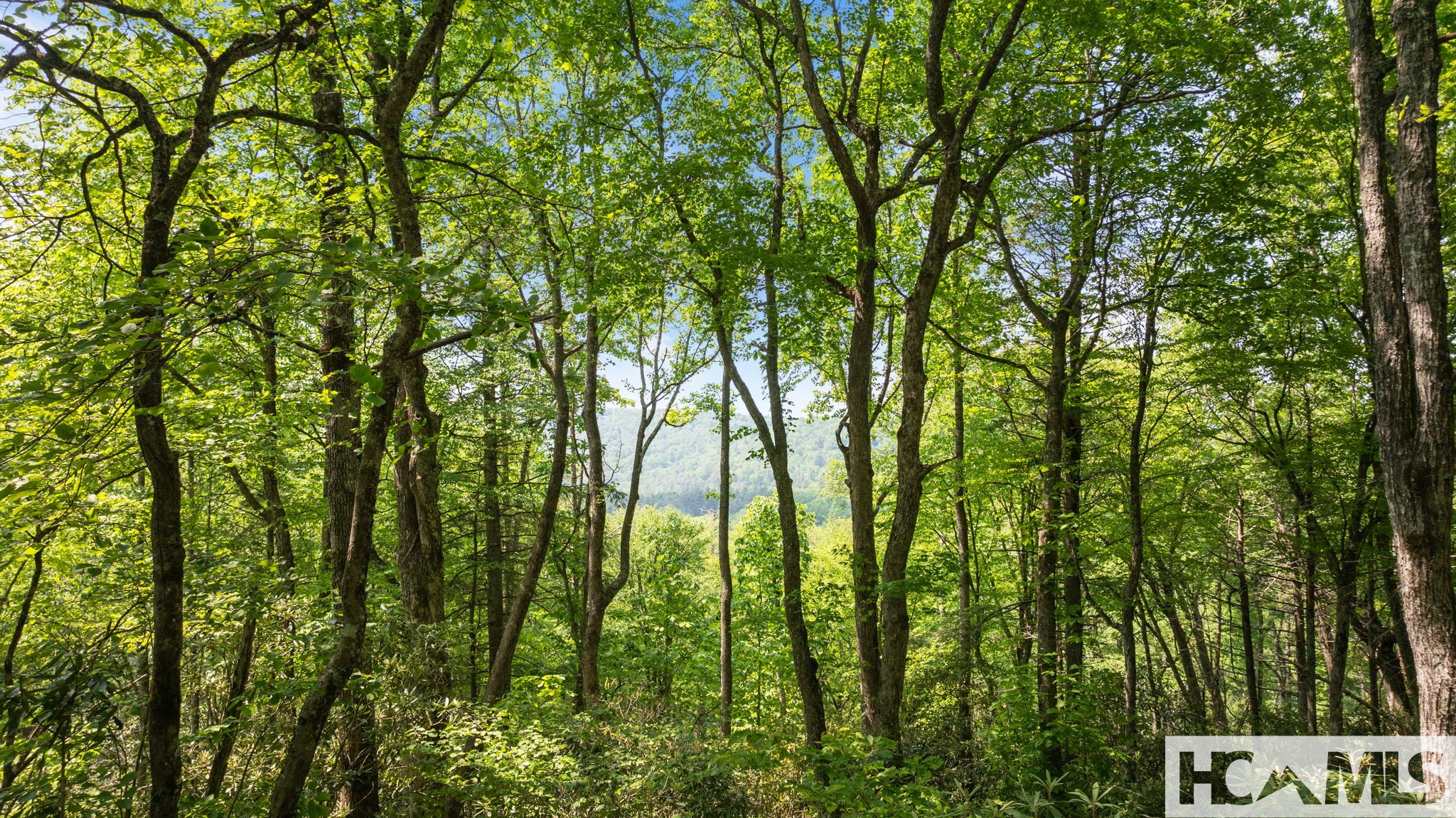 30/31 Sherwood Forest Road