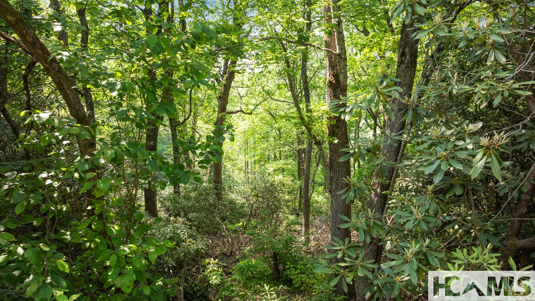 30/31 Sherwood Forest Road