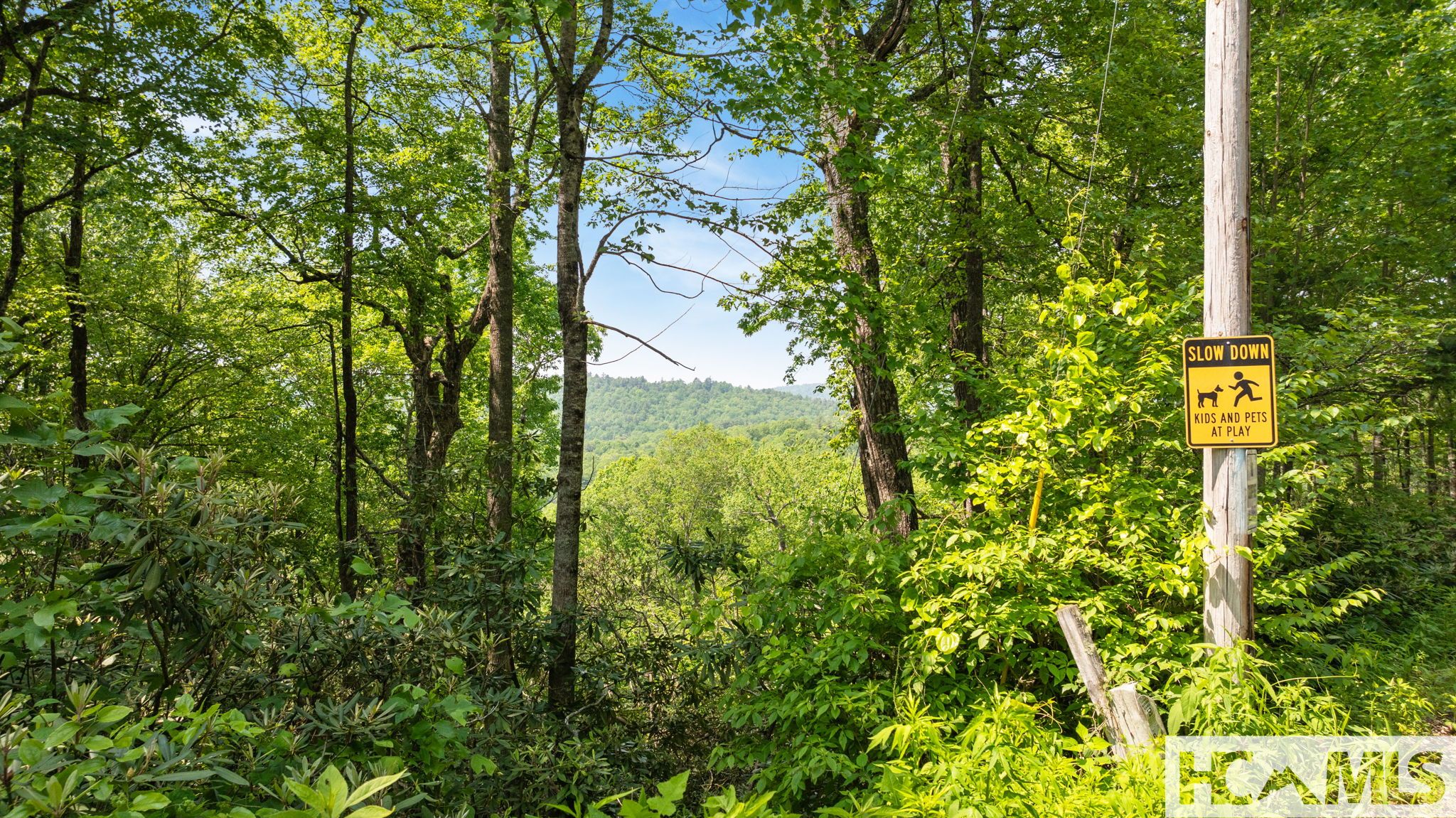 30/31 Sherwood Forest Road