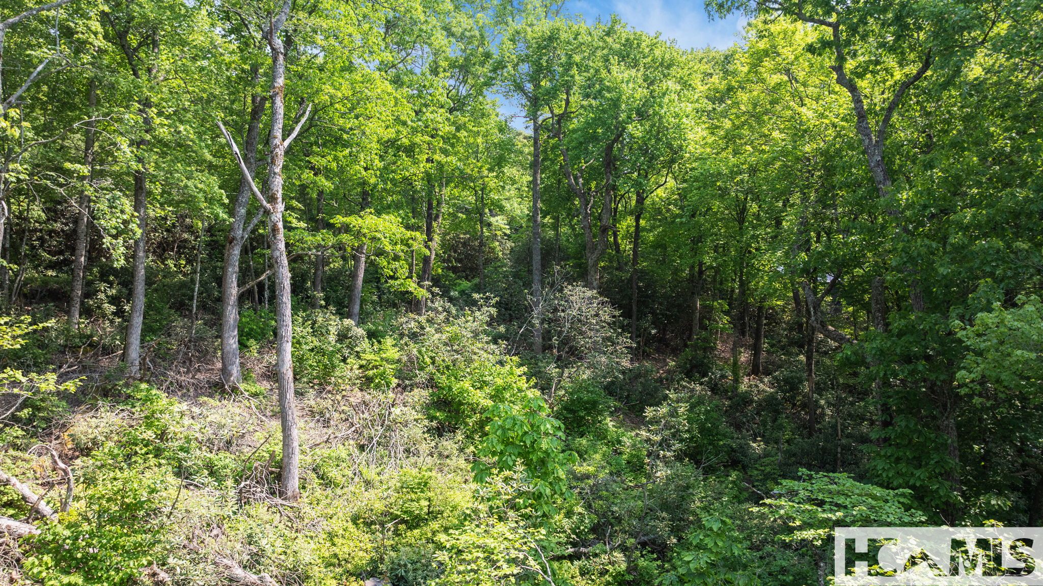 30/31 Sherwood Forest Road