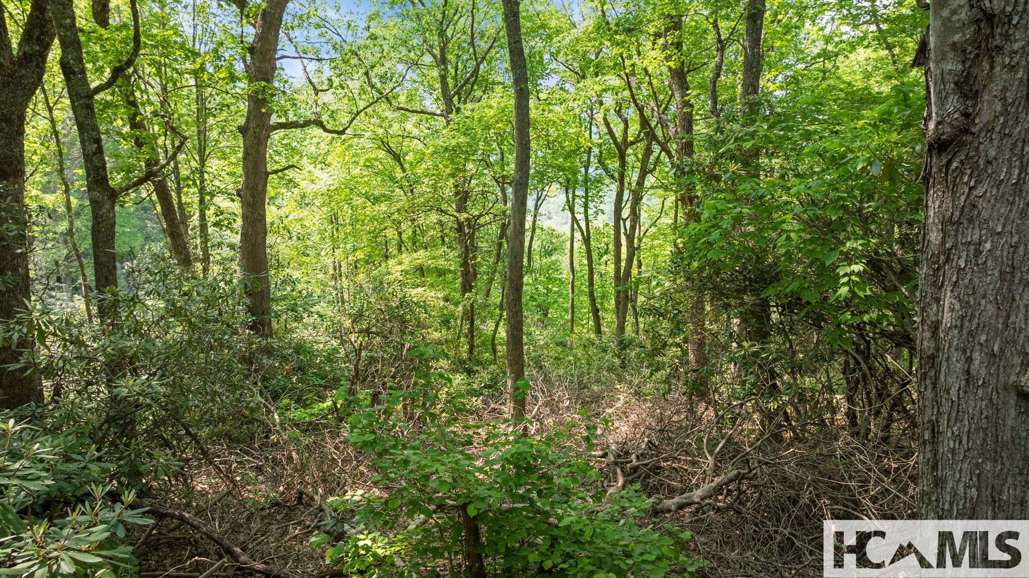 30/31 Sherwood Forest Road