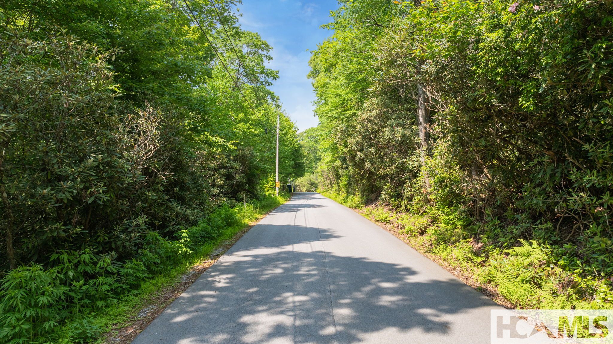 30/31 Sherwood Forest Road