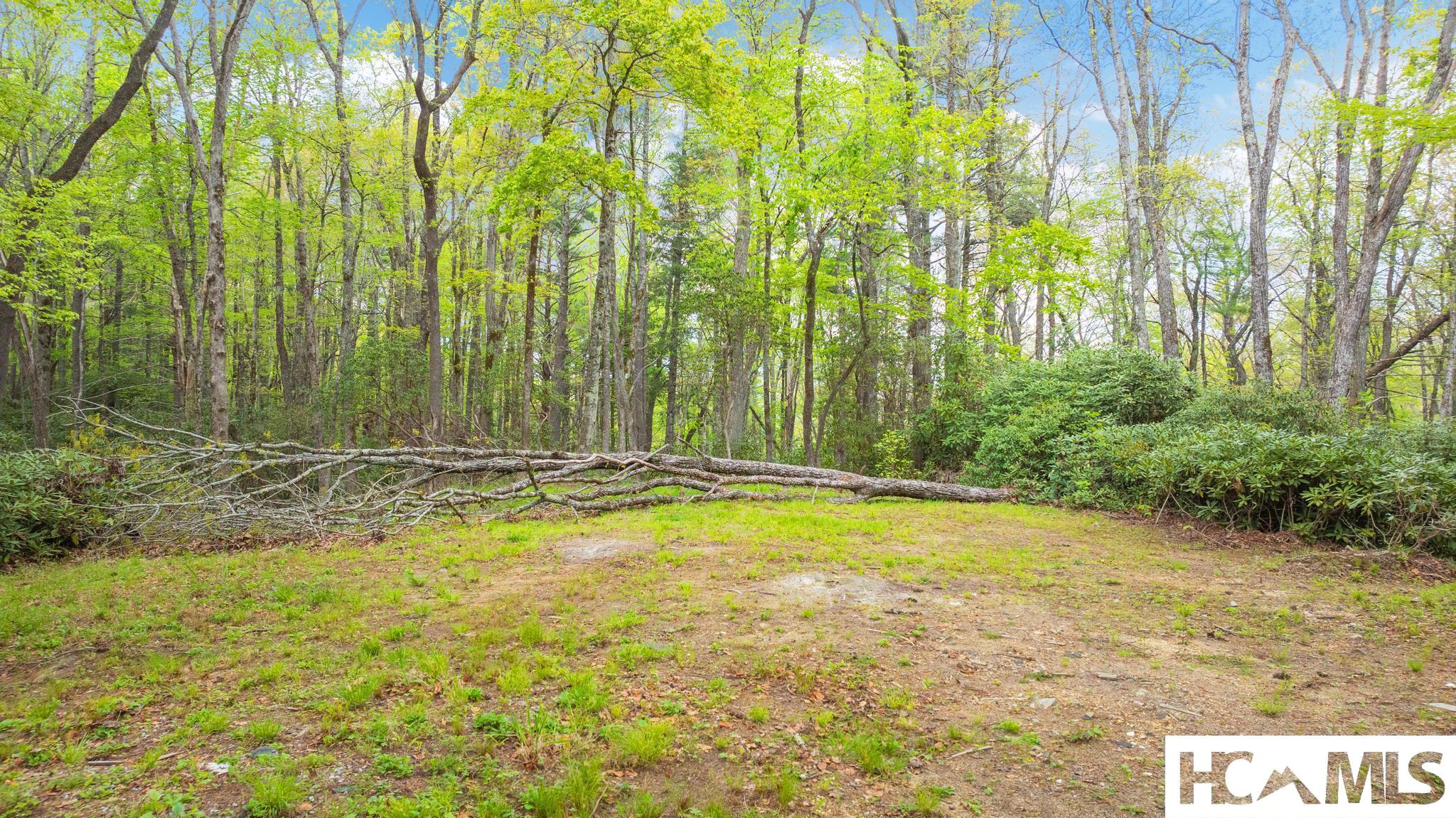 462 Bowery Road