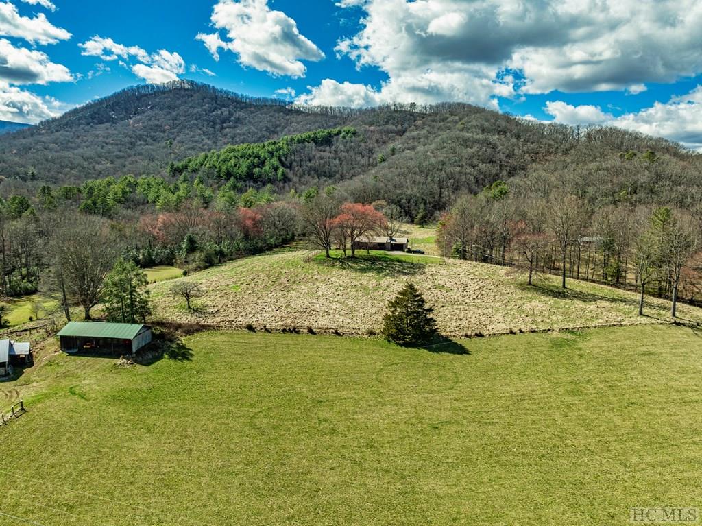 1806 Coweeta Lab Road