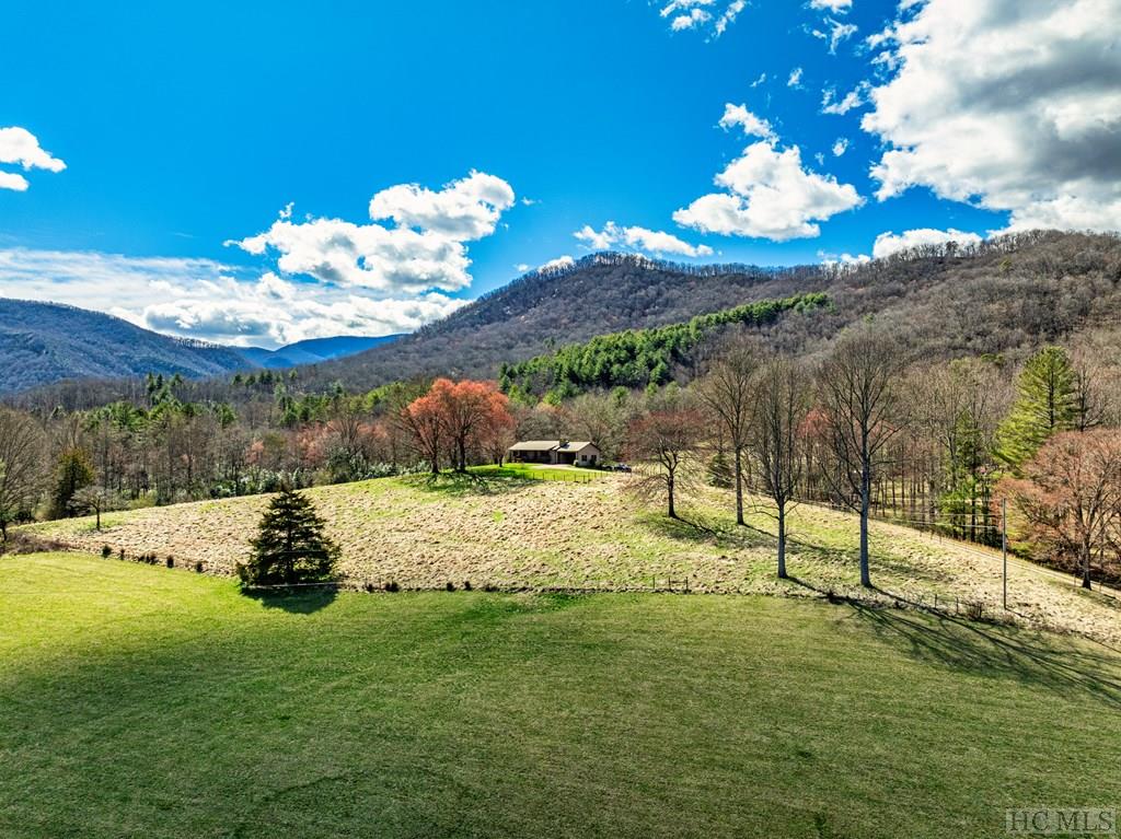1806 Coweeta Lab Road