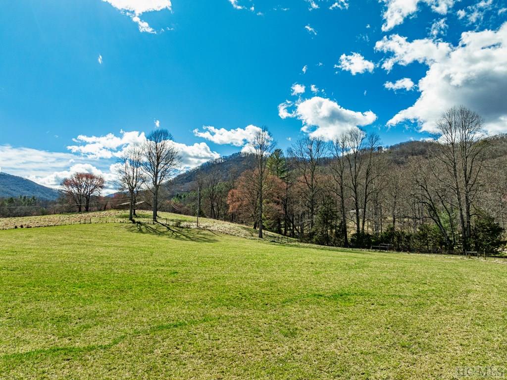 1806 Coweeta Lab Road
