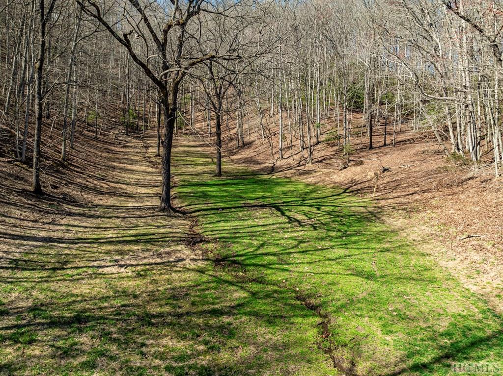 1806 Coweeta Lab Road