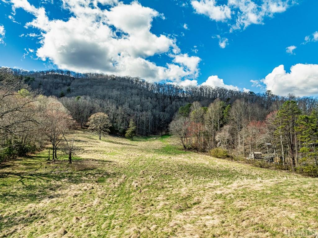 1806 Coweeta Lab Road