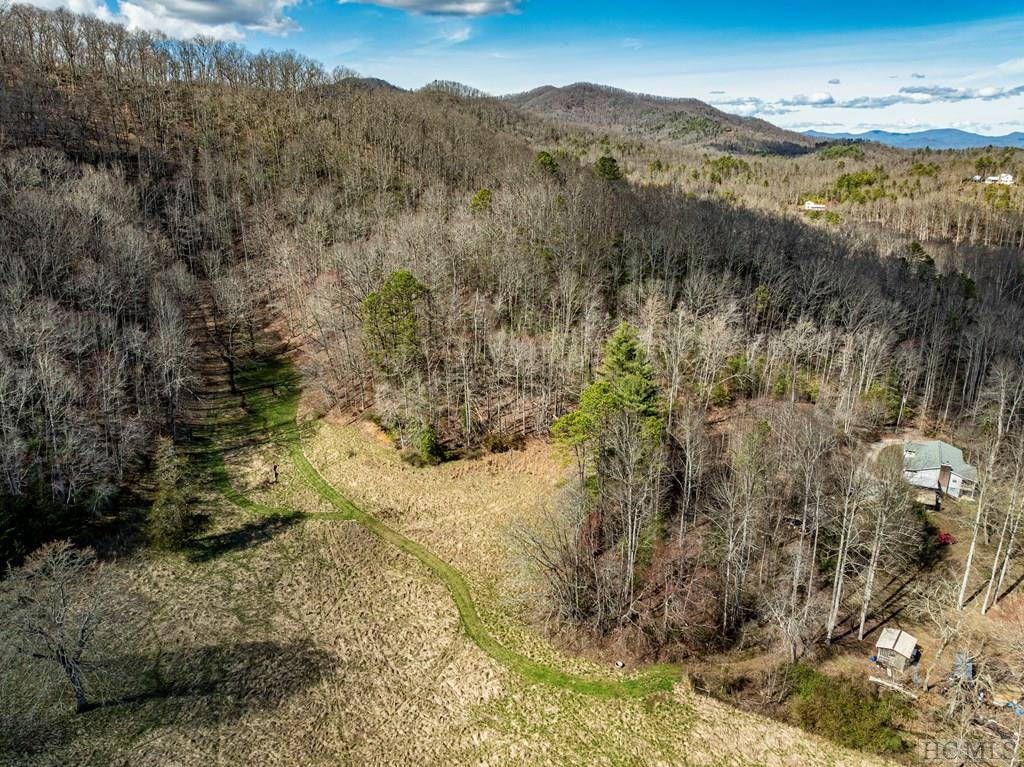 1806 Coweeta Lab Road