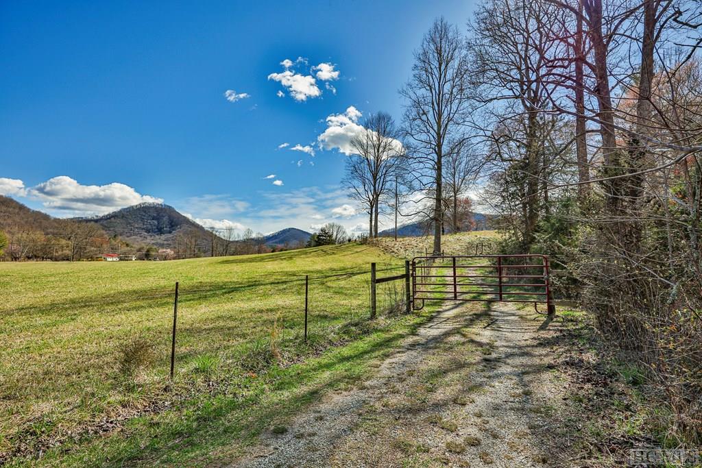 1806 Coweeta Lab Road