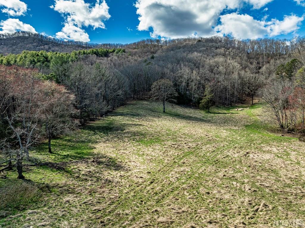 1806 Coweeta Lab Road